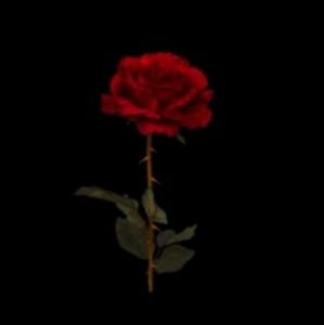 Meet your Posher, Trinity